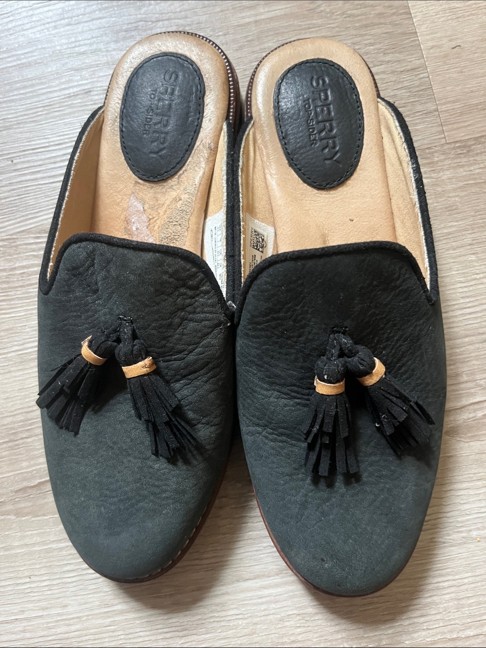 Sperry shoes